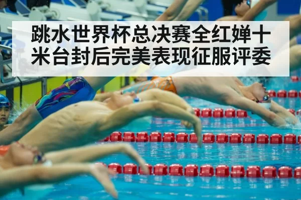 跳水世界杯总决赛全红婵十米台封后完美表现征服评委